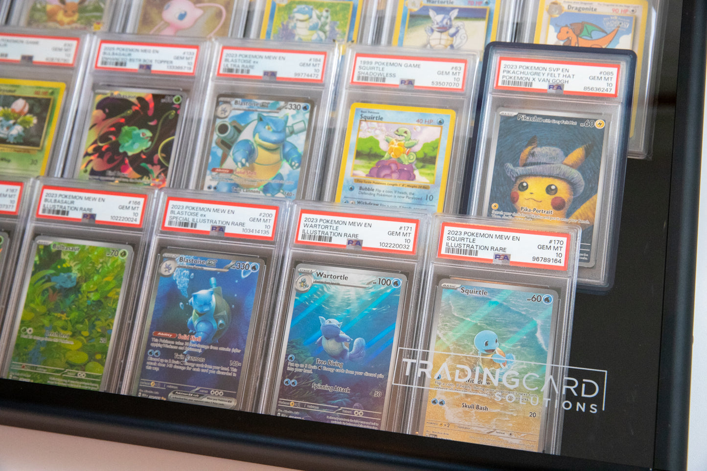 Display Case Rental - Card Party 2026 - Ft. Lauderdale, FL